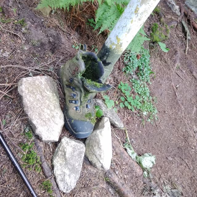 Find a hiking boot