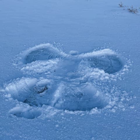 Make a snow angel